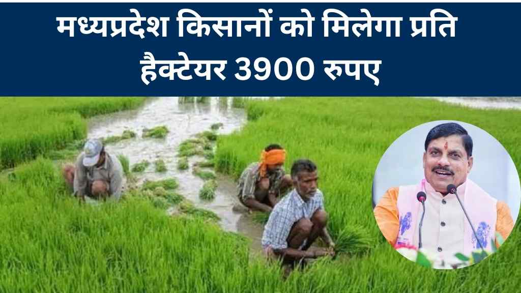 MP News