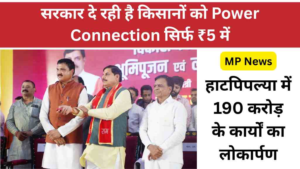 MP News