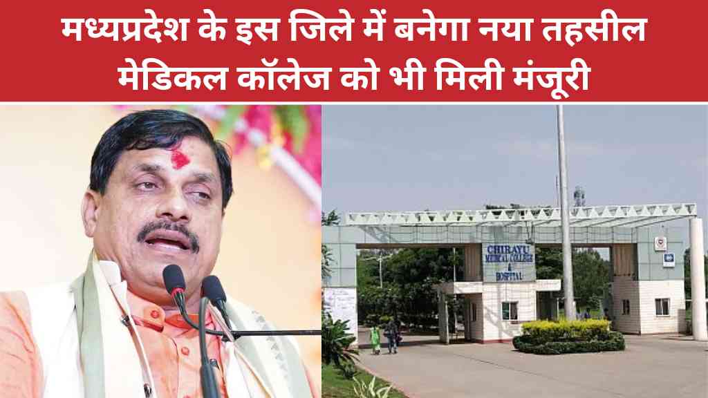 MP News