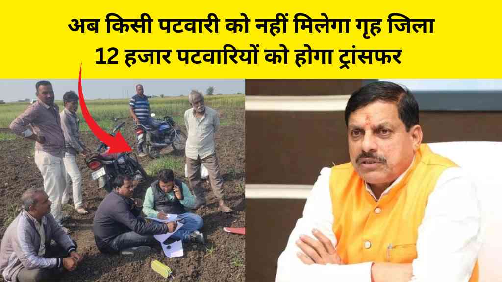 MP News