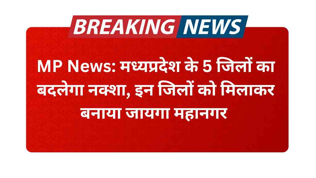 MP News