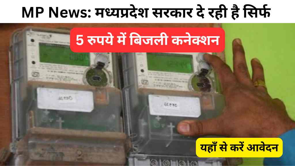 MP News
