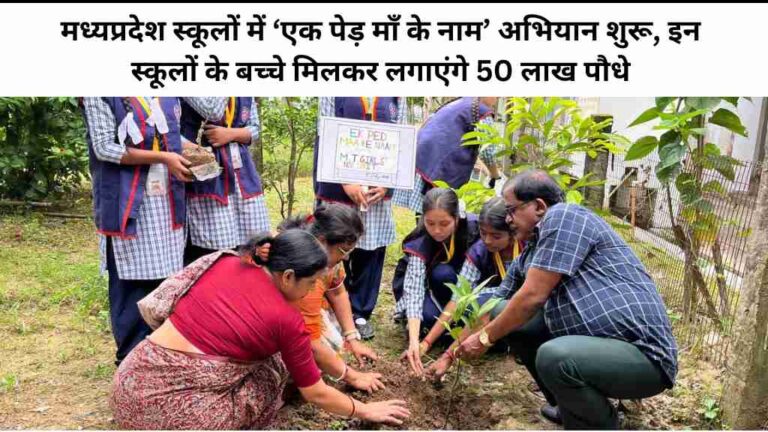 MP News