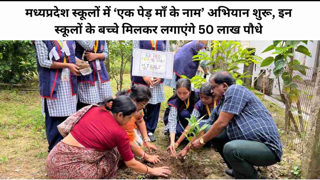 MP News