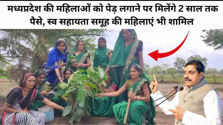 मध्यप्रदेश