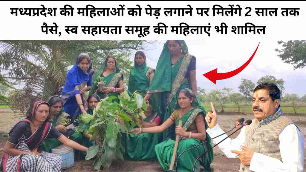 मध्यप्रदेश