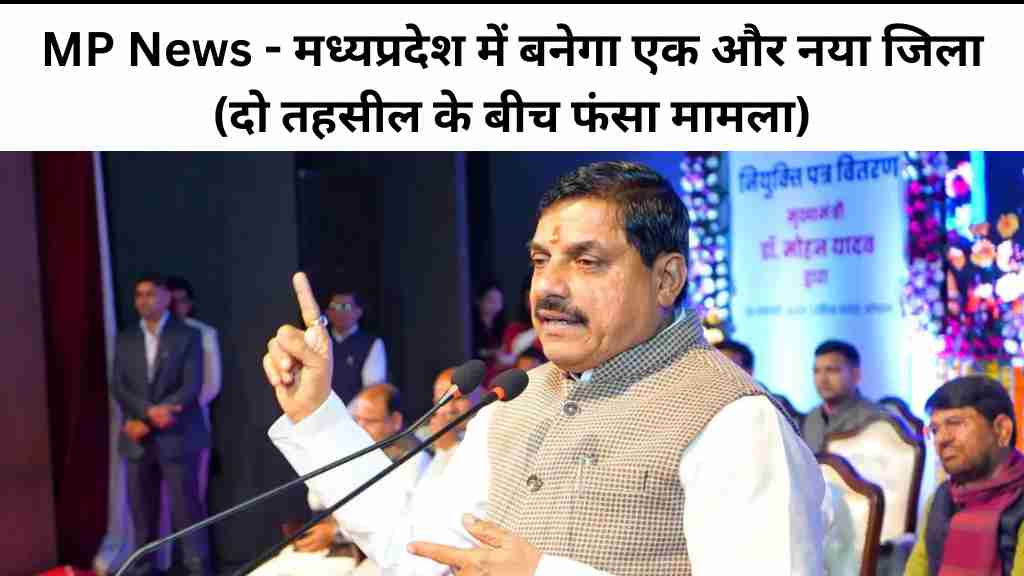 MP News