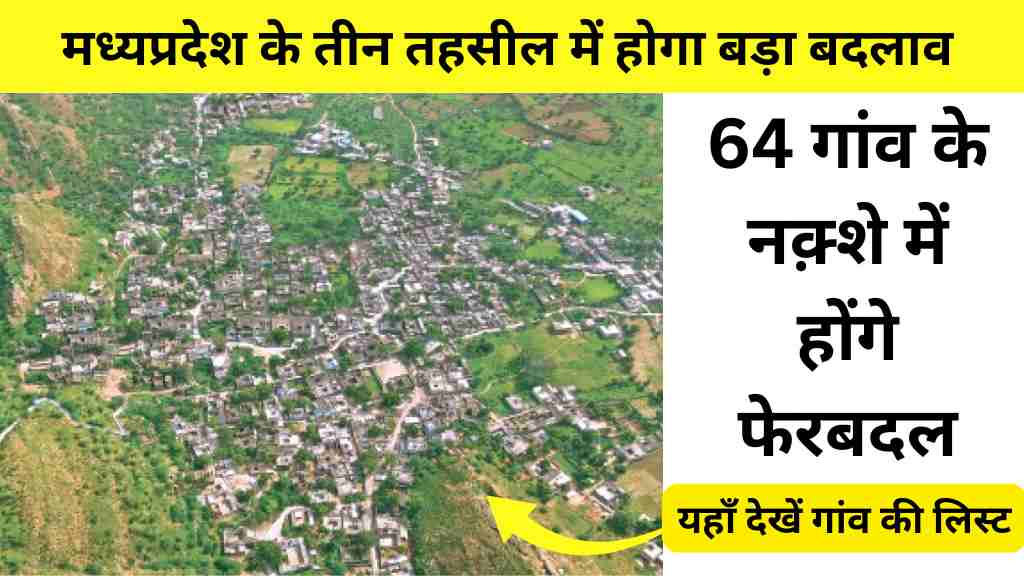 MP News