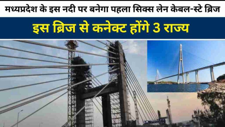 MP News