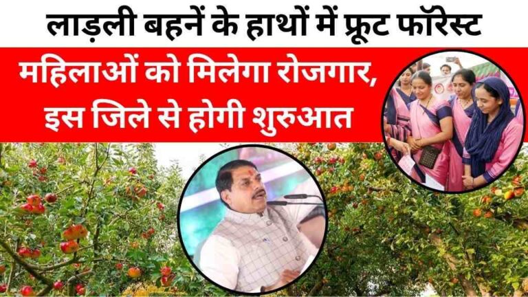 MP के पहले फ्रूट फॉरेस्ट की कमान संभालेंगी लाड़ली बहनें, इस जिले से होगी शुरुआत