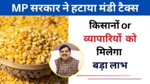MP News: मध्य प्रदेश सरकार ने तुअर दाल से हटाया मंडी टैक्स, किसानों, व्यापारियों और दाल मिल उद्योग को मिलेगा बड़ा लाभ