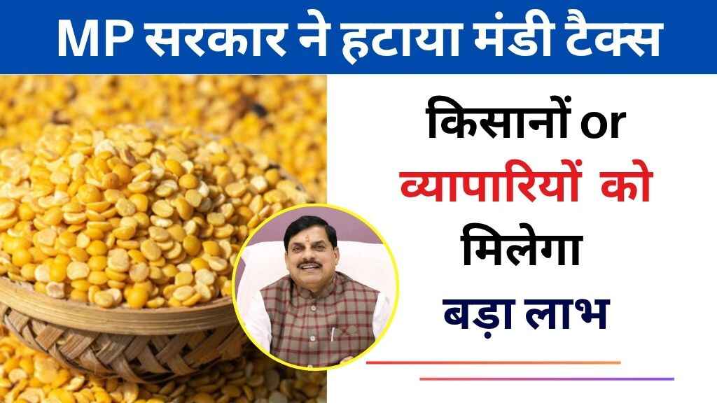 MP News: मध्य प्रदेश सरकार ने तुअर दाल से हटाया मंडी टैक्स, किसानों, व्यापारियों और दाल मिल उद्योग को मिलेगा बड़ा लाभ